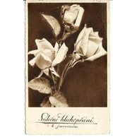 D 38336 - Srdečné blahopřání k jmeninám