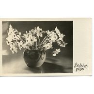 D 38341 - Srdečné přání