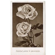 D 38345 - Srdečné blahopřání k jmeninám