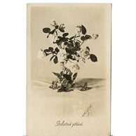 D 38340 - Srdečné přání