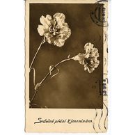 D 38364 - Srdečné blahopřání k jmeninám