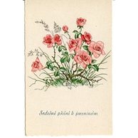 C 38523 - Srdečné blahopřání k jmeninám