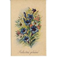 C 38541 - Srdečné přání