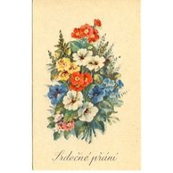 C 38546 - Srdečné přání