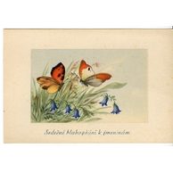 C 38575 - Srdečné blahopřání k jmeninám