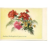 C 38578 - Srdečné blahopřání k jmeninám