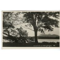 Ostatní cizina - 38633