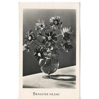 D 38604 - Srdečné přání