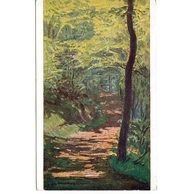 C 39749 - Al. Kalvoda