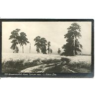 D 39806 - Ivan Ivanovič Šiškin - 6ito