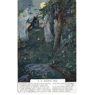 C 39835 - K.H. Mácha - Máj