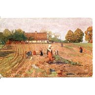 C 39902 - R. Balcke - Na bramborách