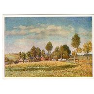 C 39923 - B. Hradečný