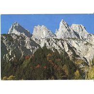 Ostatní cizina - 40169