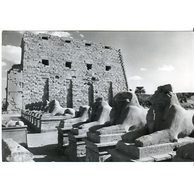 Ostatní cizina - 40301