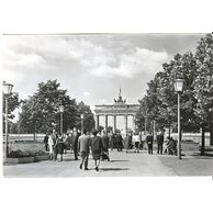 Berlin - 40381