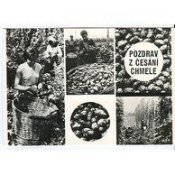 E 40715 - Pozdrav z česání chmele