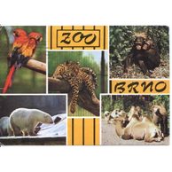 F 41834 - Brno město - část III 