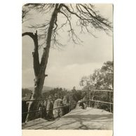 E 42427 - Český Ráj 