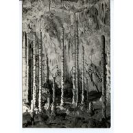 E 42628 - Moravský kras 