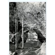 E 42629 - Moravský kras 