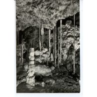 E 42636 - Moravský kras 