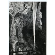 E 42635 - Moravský kras 