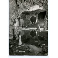 Demänovské jaskyne - 42715
