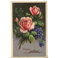 C 43136 - Srdečné přání