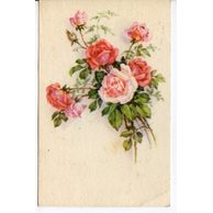 C 43138 - Srdečné přání