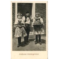 D 43141 - Srdečné blahopřání