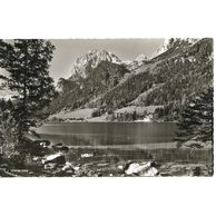 Ostatní cizina - 43511