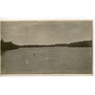 Ostatní cizina - 43512