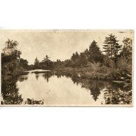 Ostatní cizina - 43513