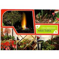 F 43733 - Olomouc (Olmütz)2 