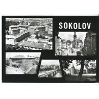 E 44986 - Sokolov
