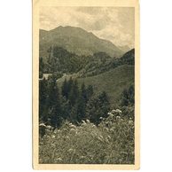 Ostatní cizina - 54455