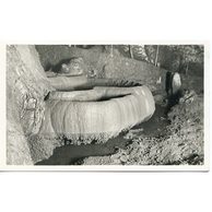 Plitvické jazierka - 54507