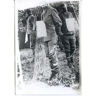 Staré fotografie - 54550