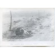 Staré fotografie - 54597