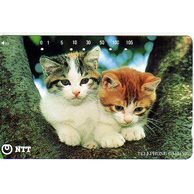 Telefon.karta č.269