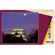 Telefon.karta č.271