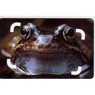 Telefon.karta č.273