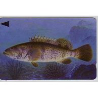 Telefon.karta č.280