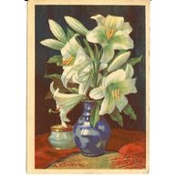 C 54848 - Adolf Körber