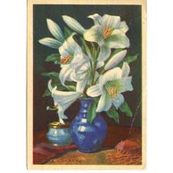 C 54849 - Adolf Körber