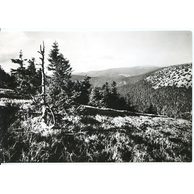 E 54948 - Jeseníky2 