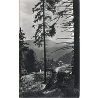 Dobšinska ľadová jaskyňa - 54961