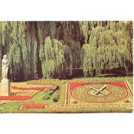 F 55270 - Poděbrady