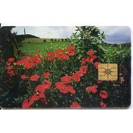 Telefon.karta/ČR/ č.23